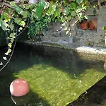 Проживание в семье Casa De Cerqueda Селорику-ди-Башту