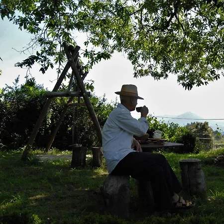 Casa De Cerqueda Celorico De Basto