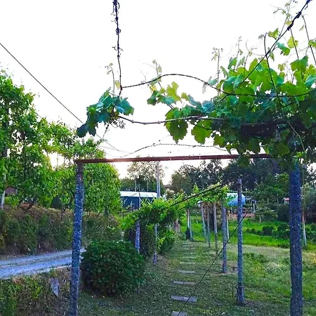 Ubytování v soukromí Casa De Cerqueda