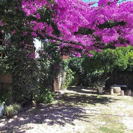 Séjour chez l'habitant Casa De Cerqueda Castelbuono