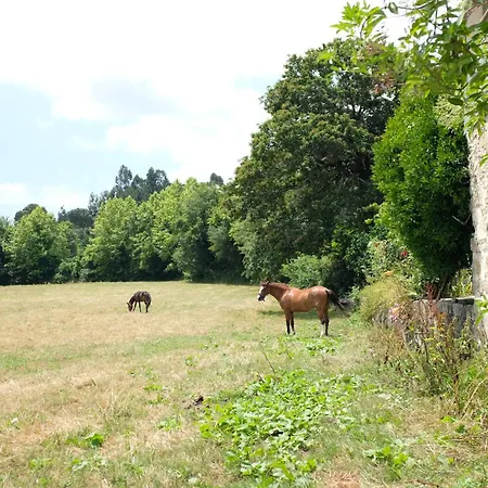 Séjour chez l'habitant Casa De Cerqueda