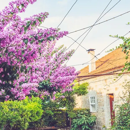 Casa De Cerqueda Séjour chez l'habitant *