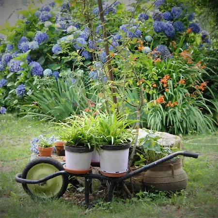 Casa De Cerqueda Celorico De Basto