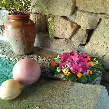 Casa De Cerqueda Ubytování v soukromí Celorico De Basto