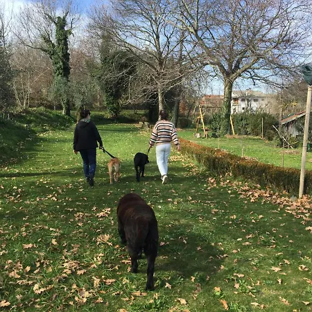 Ubytování v soukromí Casa De Cerqueda Celorico De Basto