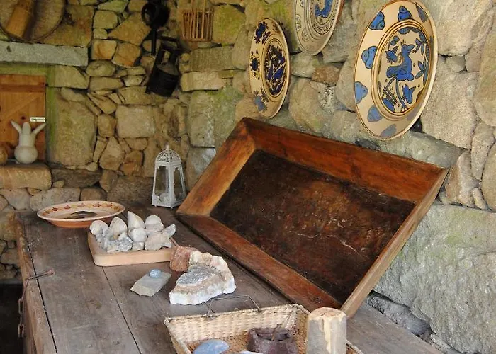 Séjour chez l'habitant Casa De Cerqueda *