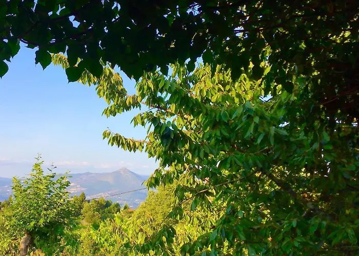 Casa De Cerqueda Séjour chez l'habitant