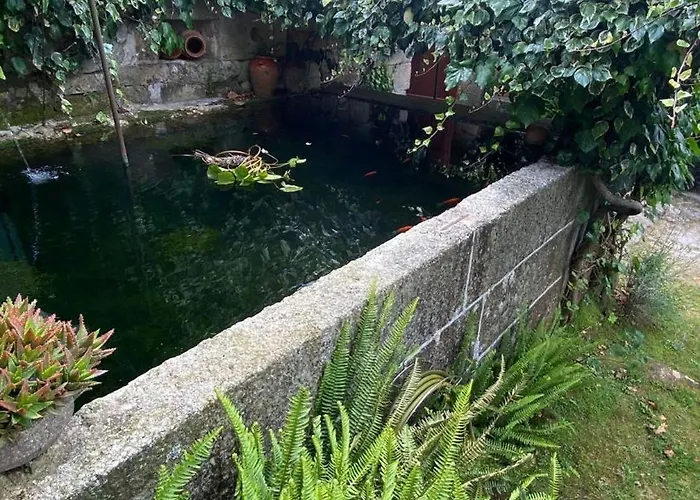 Casa De Cerqueda Séjour chez l'habitant
