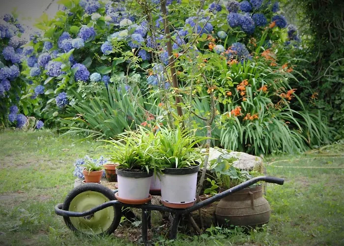 Casa De Cerqueda 塞洛里库迪巴什图