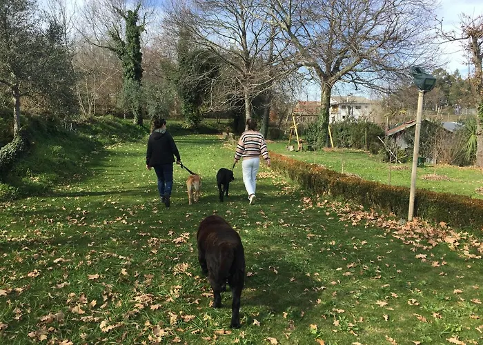 Séjour chez l'habitant Casa De Cerqueda Castelbuono